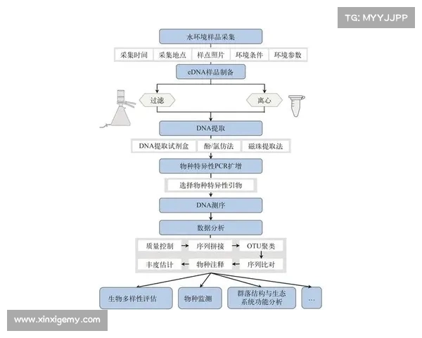 基于DK宏技术的应用研究与实施步骤全面解析 基于DK宏技术的应用研究与实施步骤全面解析
