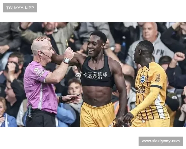 从绰号黑贝看维尔贝克的球风特点与个性象征意义解析